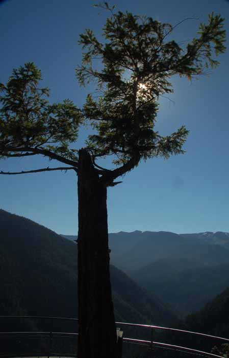 Hurricane Ridge